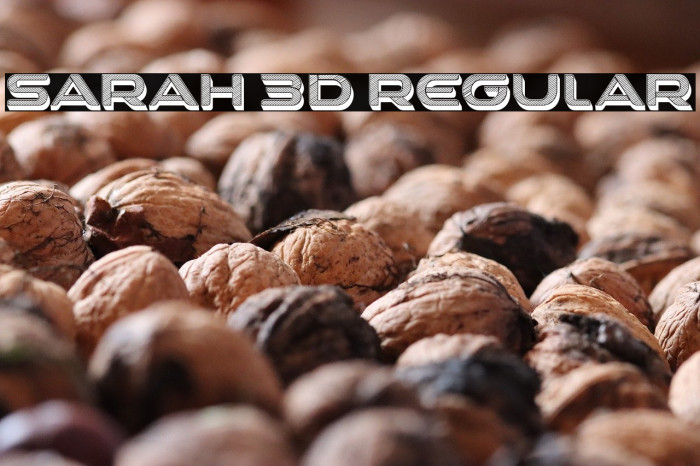 Sarah 3D Regular Example 2