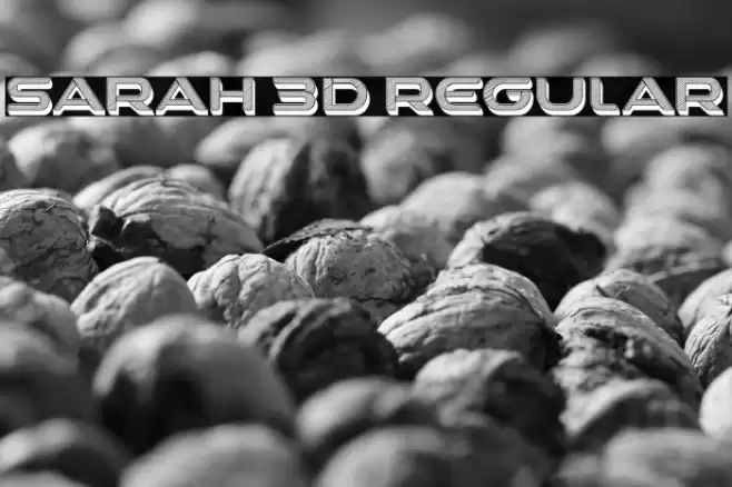 Sarah 3D Regular Font examples