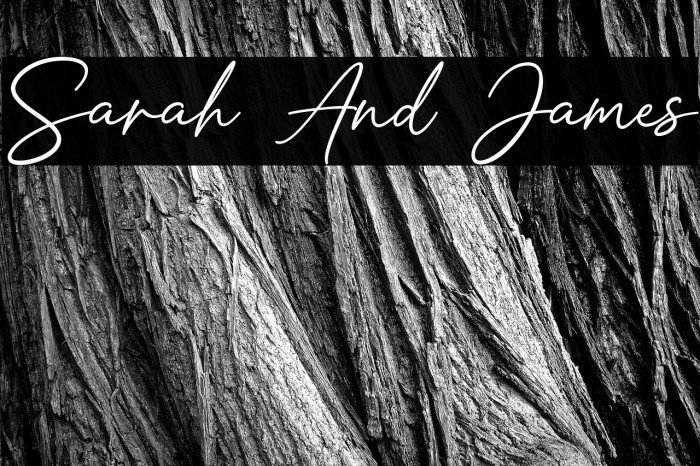 Sarah And James Example 1