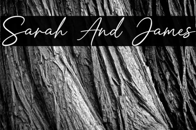 Sarah And James Font examples
