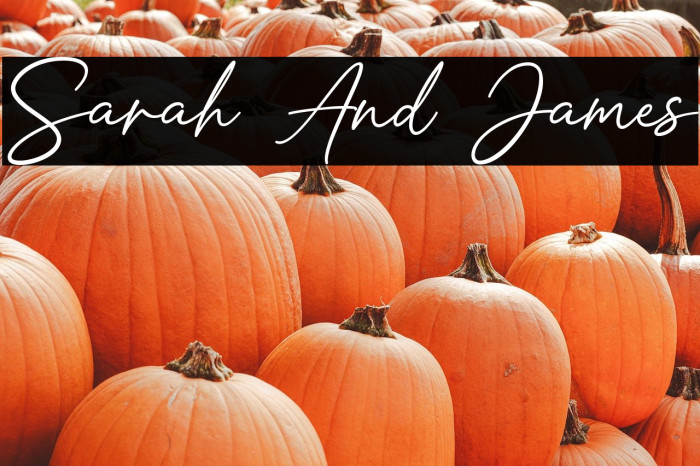 Sarah And James Example 2