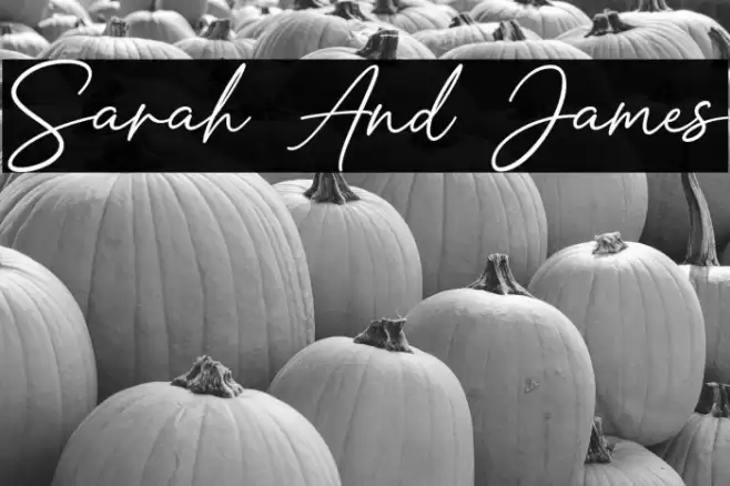 Sarah And James Font examples