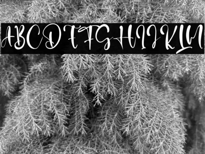 Sarah Jason Font examples