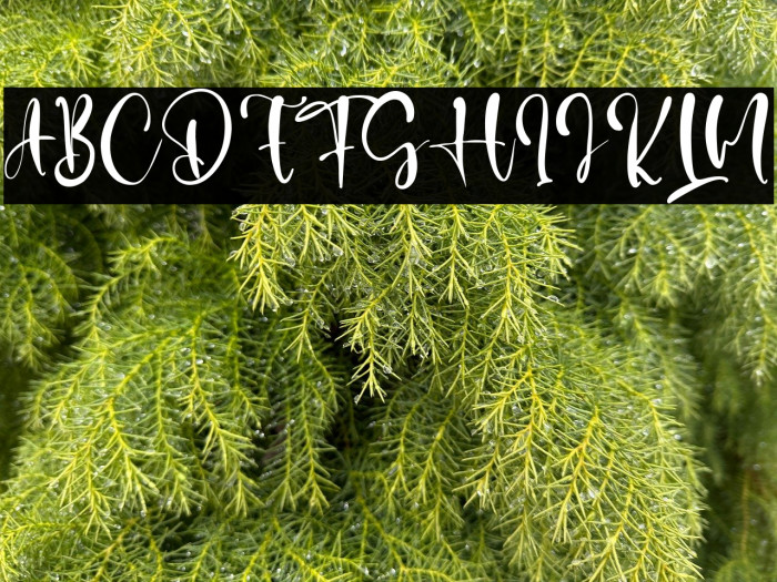 Sarah Jason Example 3