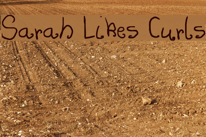 Sarah Likes Curls Font examples
