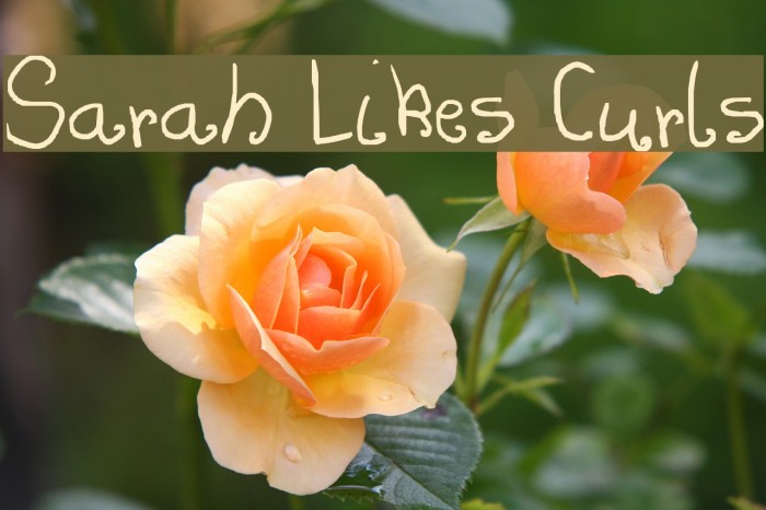 Sarah Likes Curls Font examples