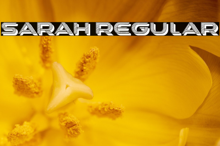 Sarah Regular Example 3