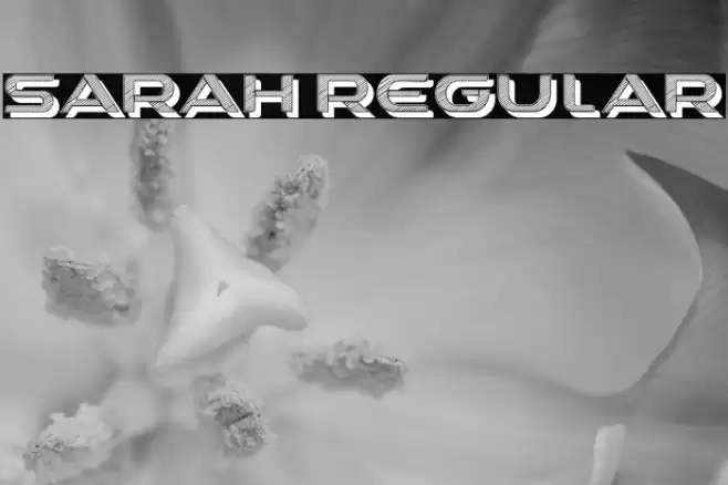 Sarah Regular Font examples