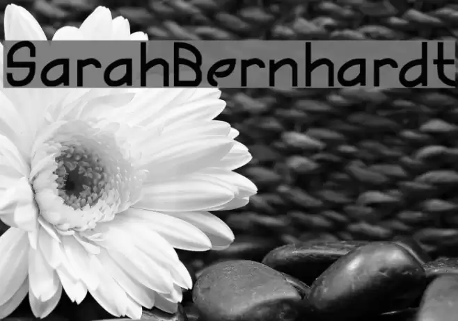 SarahBernhardt Font examples
