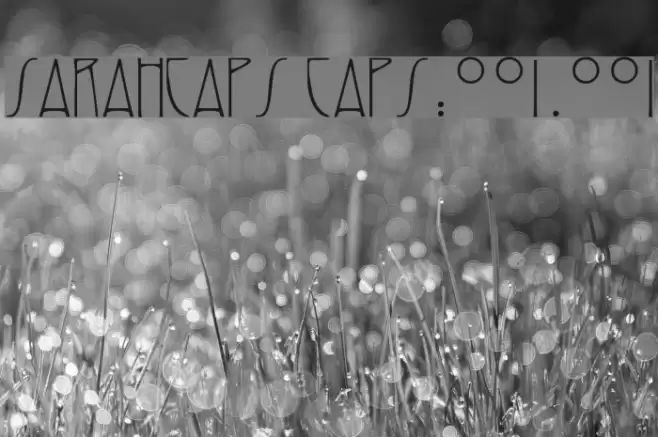 SarahCaps Caps:001.001 Font examples