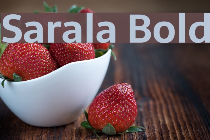 Sarala Bold Font examples