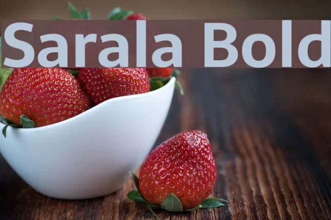 Sarala Bold Example 1