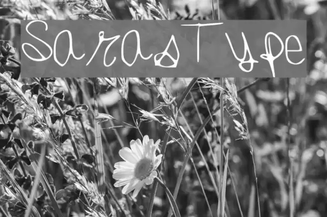 SarasType Font examples