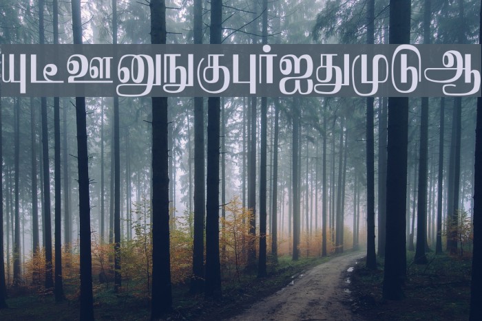 Saraswathy Regular Example 1