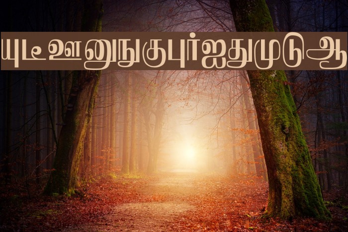 Saraswathy Regular Example 2