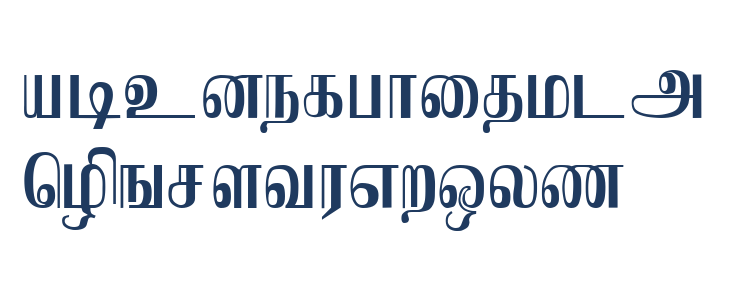 Saraswathy Regular Lowercase