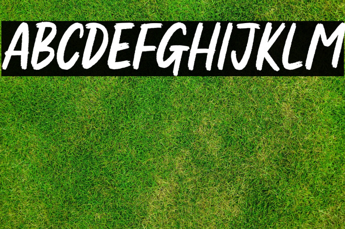 Sarcaland Brusher Personal Use Example 2