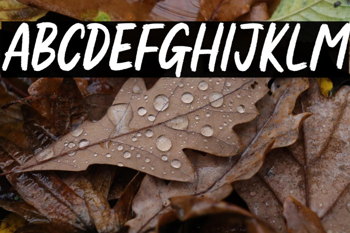 Sarcaland Brusher Personal Use Example 3