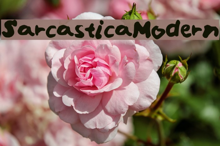 SarcasticaModern Example 1