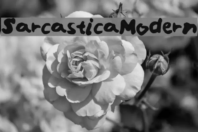 SarcasticaModern Font examples