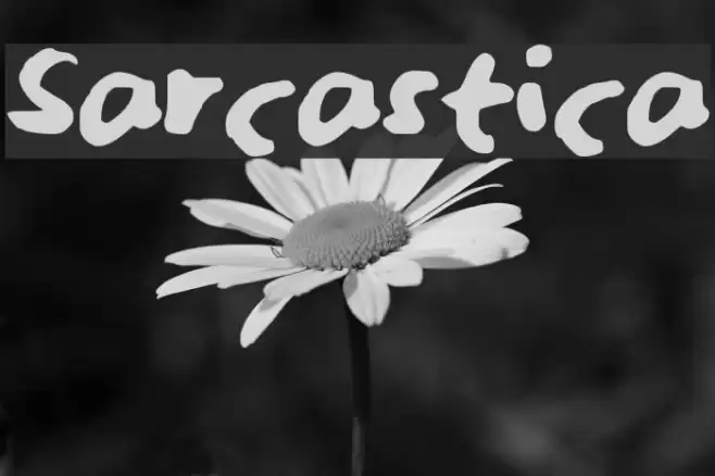 Sarcastica Font examples