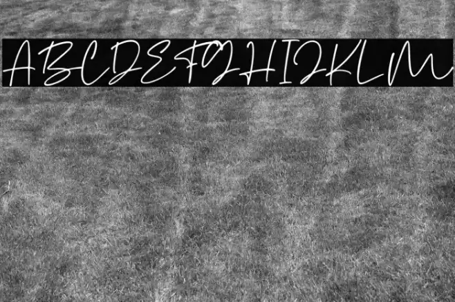 Sarcoline Font examples