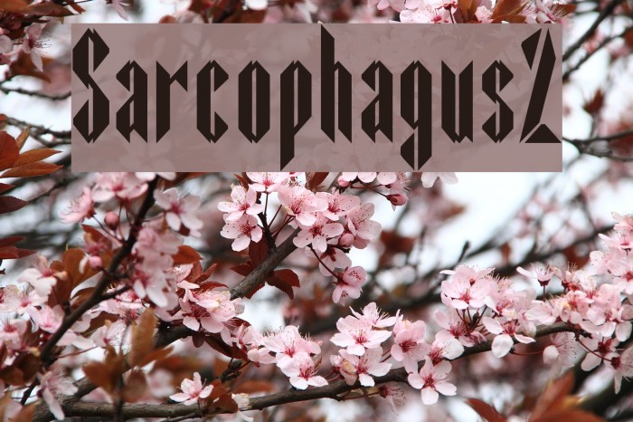 Sarcophagus2 Font examples