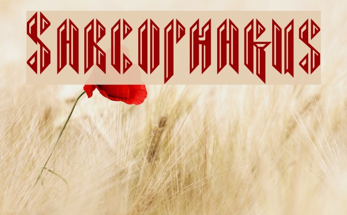 Sarcophagus Font examples