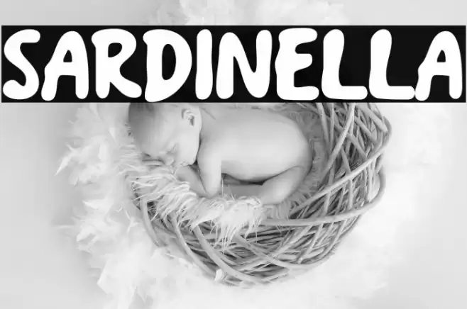 Sardinella Font examples