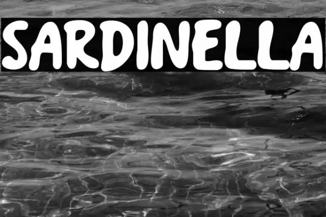 Sardinella Font examples