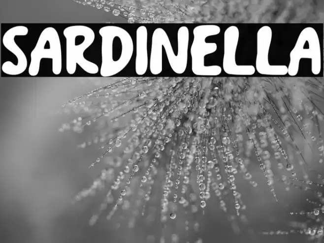 Sardinella Font examples