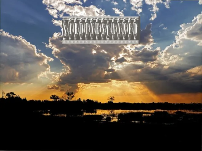 SardinesCanned Example 2