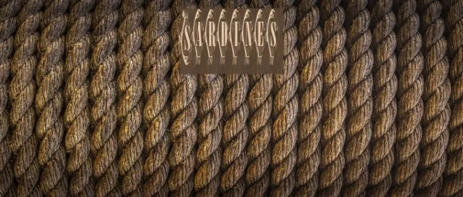 Sardines Example 1