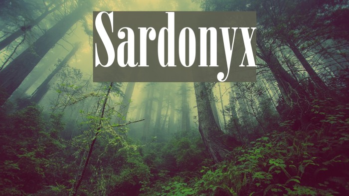 Sardonyx Font examples