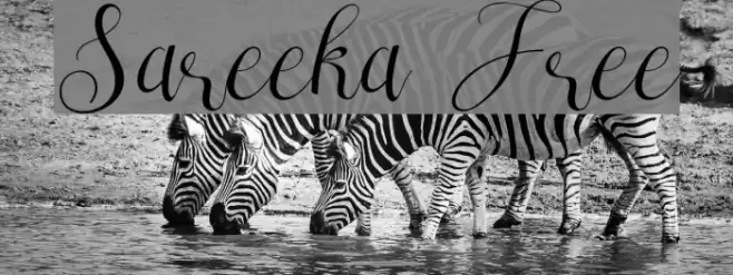 Sareeka Free Font examples