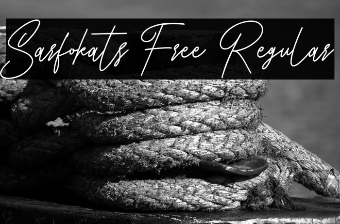 Sarfokats Free Regular Example 3