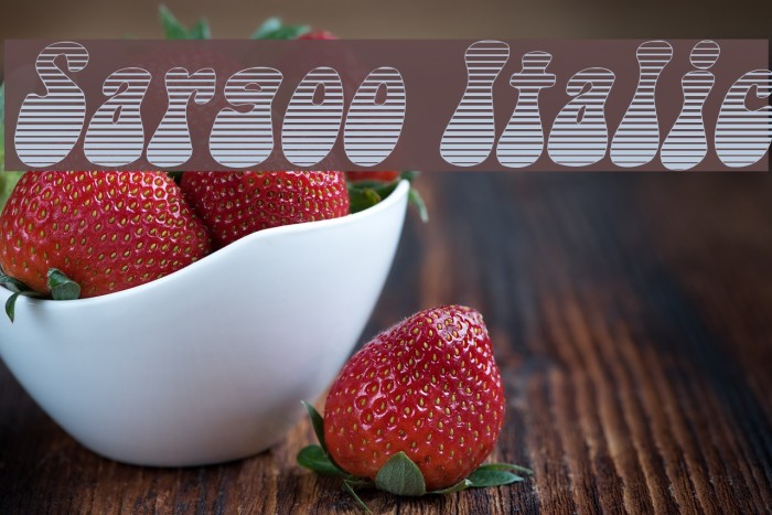 Sargoo Italic Font examples