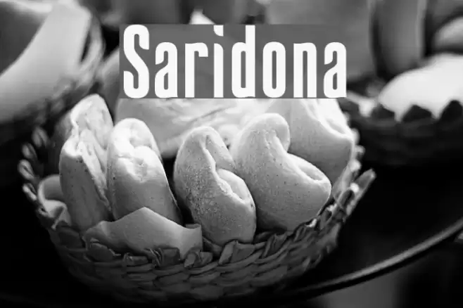 Saridona Font examples