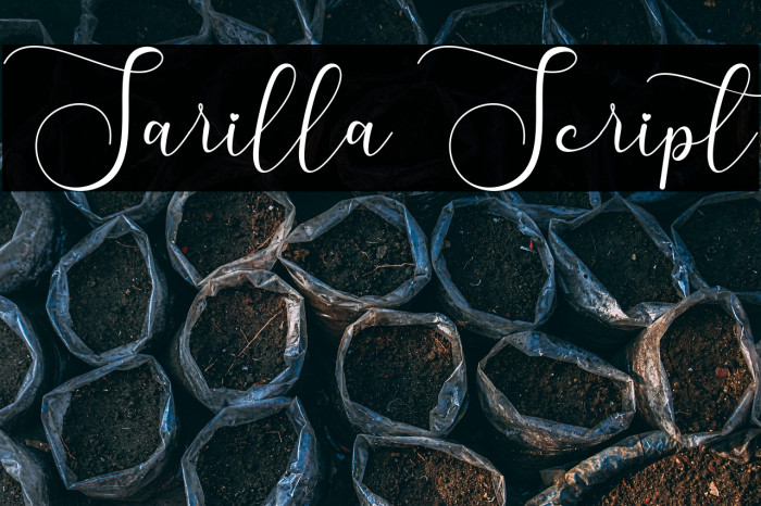 Sarilla Script Example 1