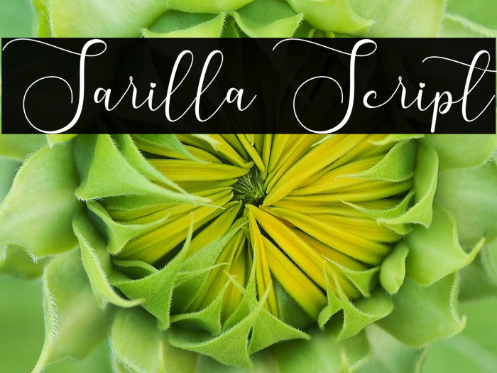 Sarilla Script Example 2
