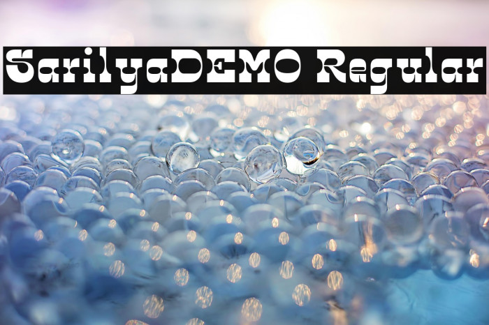 SarilyaDEMO Regular Example 2