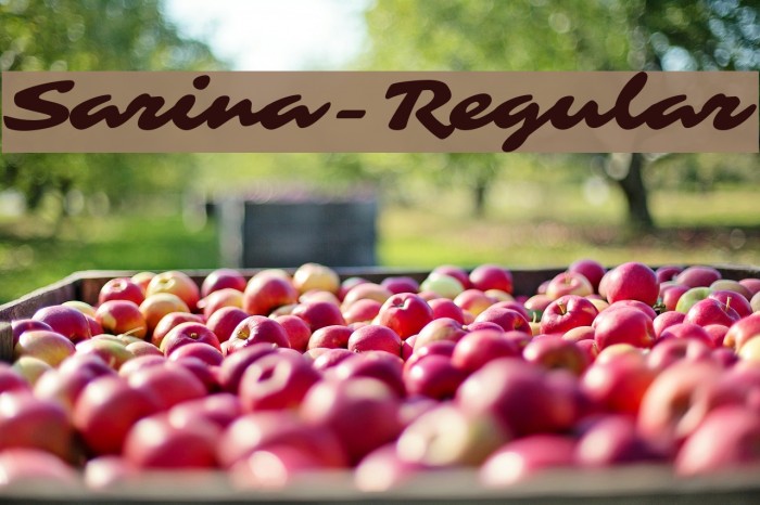 Sarina-Regular Font examples