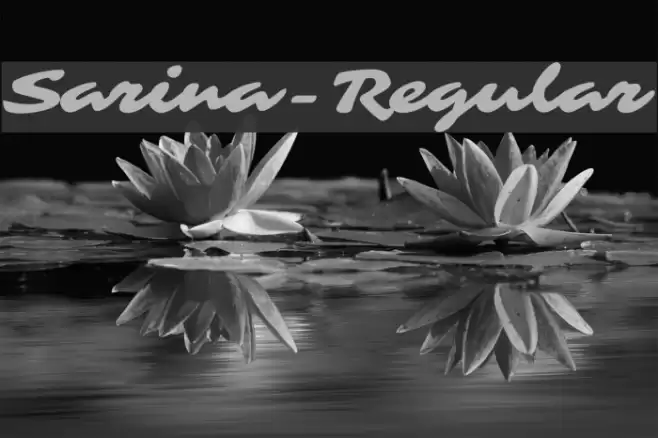 Sarina-Regular Font examples