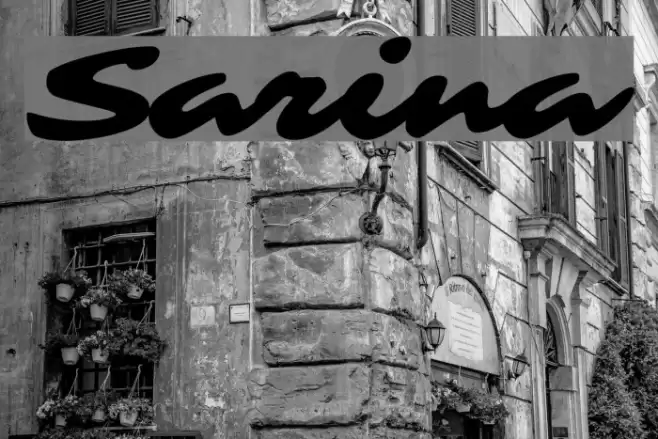 Sarina Font examples