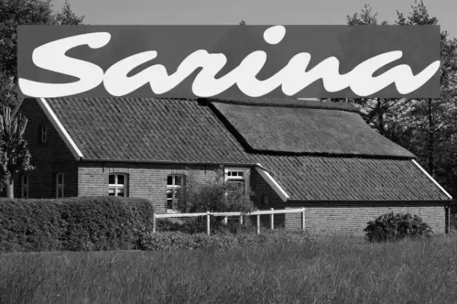 Sarina Font examples