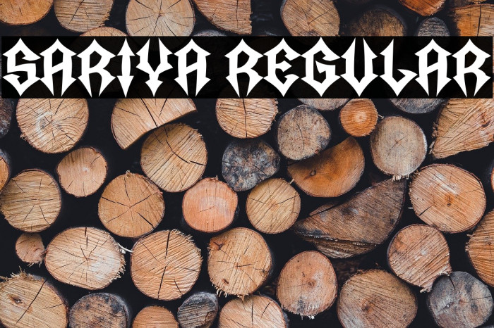 Sariya Regular Example 1