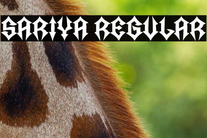 Sariya Regular Example 2