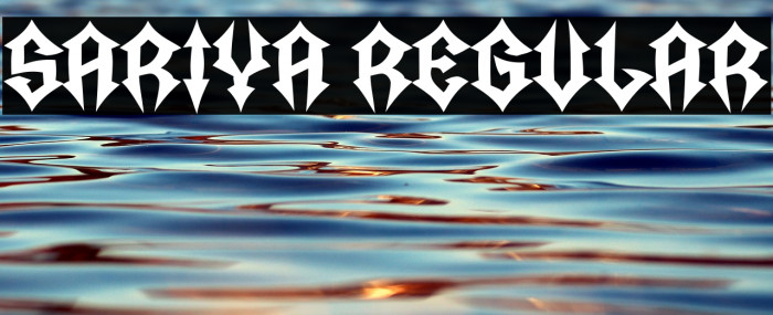 Sariya Regular Example 3