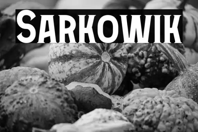 Sarkowik Font examples
