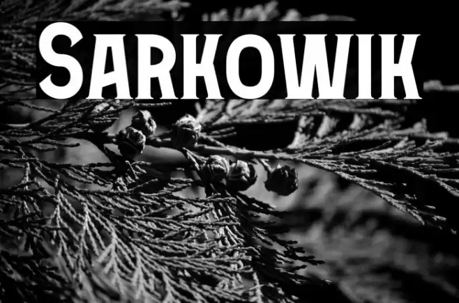Sarkowik Font examples